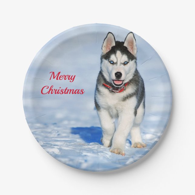 Husky Puppy Snow Foto Weihnachten Pappteller (Vorderseite)