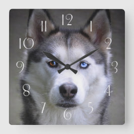 Husky Quadratische Wanduhr