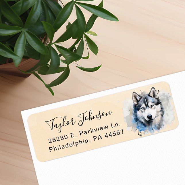 Husky-Rücksendeadresse (Von Creator hochgeladen)