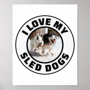 Husky Sledding Schlittenhunde Racing Alaskan Racer Poster