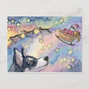 Husky Sleigh Dogs Postkarte
