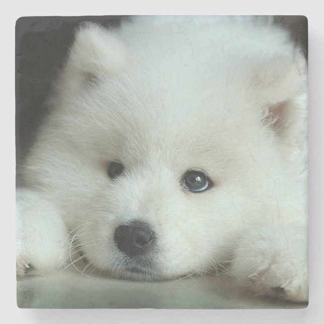 Husky Steinuntersetzer (Vorderseite)
