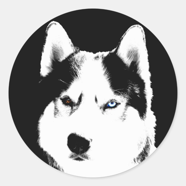 Husky Stickers Siberian Husky Malamute Stickers (Vorderseite)