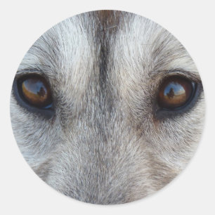 Husky Stickers Siberian Husky Wolf Aufkleber