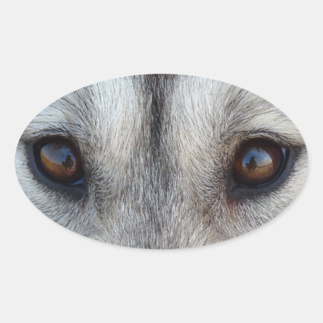 Husky Stickers Siberian Husky Wolf Aufkleber (Vorderseite)