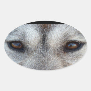 Husky Stickers Siberian Husky Wolf Aufkleber