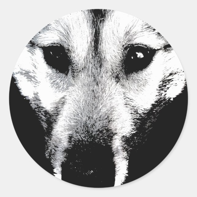 Husky Stickers Siberian Husky Wolf Aufkleber (Vorderseite)