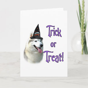 Husky-Trick-Gruß-Karte Karte