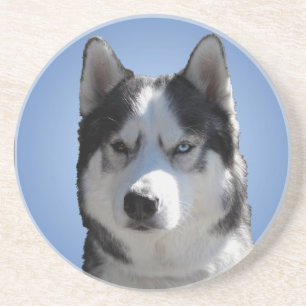 Husky Untersetzer Husky Malamute Sled Dog Unterset