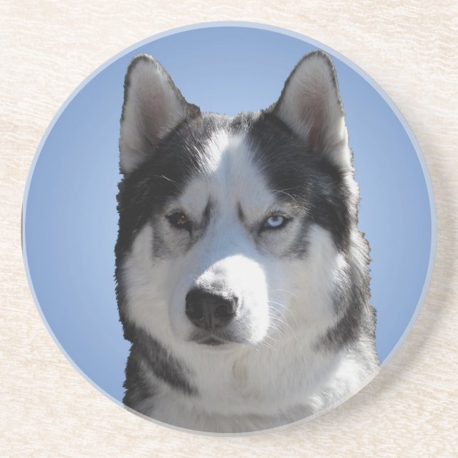 Husky Untersetzer Husky Malamute Sled Dog Unterset (Vorne)