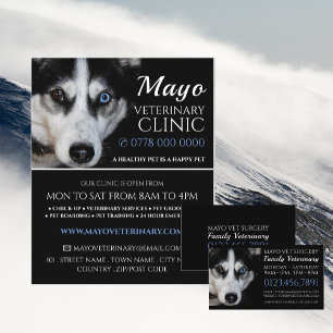 Husky, Veterinär, Veterinärdienst Flyer