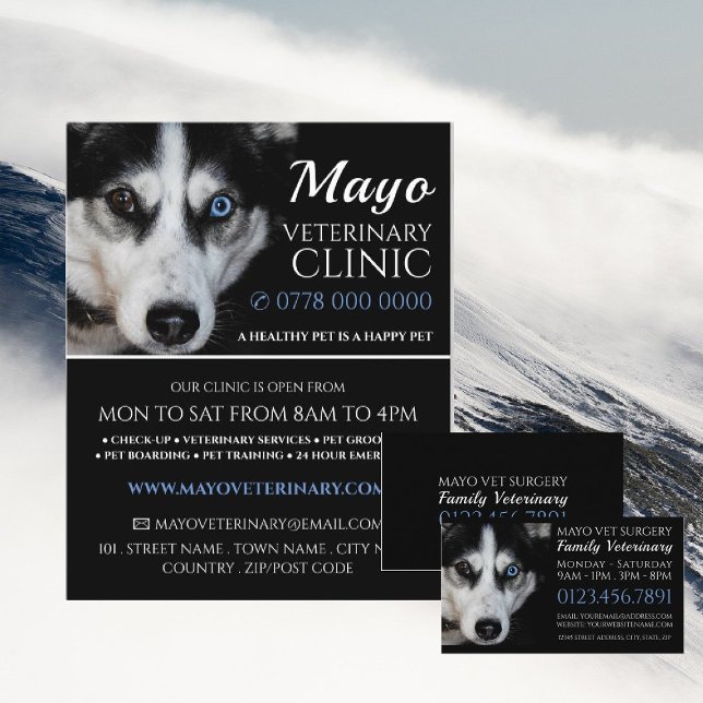 Husky, Veterinär, Veterinärdienst Flyer (Von Creator hochgeladen)