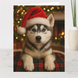 Husky-Weihnachtskarte Karte