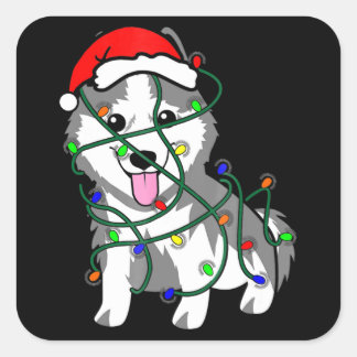 Husky Weihnachtslicht Dekoration Funny Husky Quadratischer Aufkleber