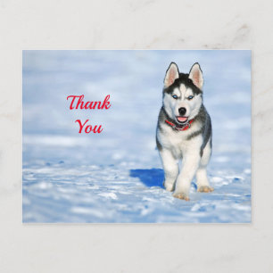 Husky-Welpe Schnee Foto Danke Postkarte