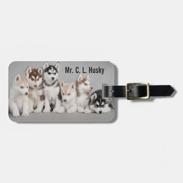 Husky-Welpen auf Gepäckanhänger (Vorderseite horizontal)