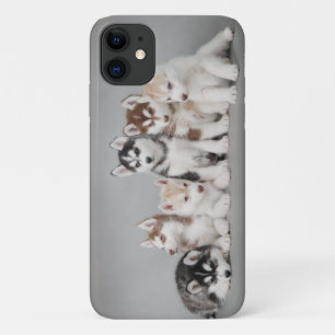 Husky-Welpen Case-Mate iPhone Hülle