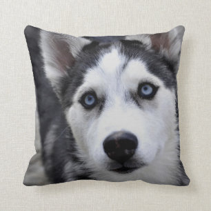 Husky-Welpen-Kissen Kissen