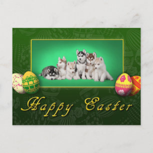 Husky Welpen Ostern Feiertagspostkarte