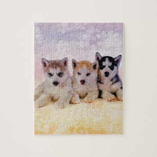 Husky-Welpen Puzzle