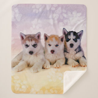 Husky-Welpen Sherpadecke