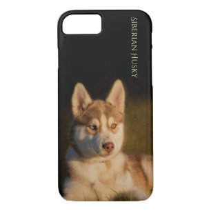 Husky-Welpen-Telefon-Kasten Case-Mate iPhone Hülle
