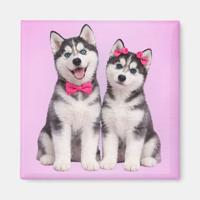 Husky-Welpenliebe-Valentinsmagnet Magnet (Vorne)