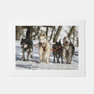 HuskyArbeitsgruppe Fußmatte