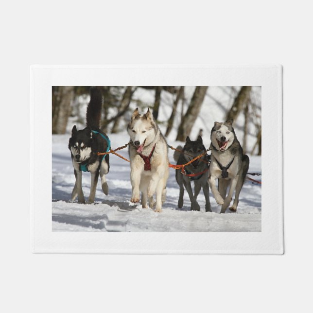 HuskyArbeitsgruppe Fußmatte (Vorderseite)