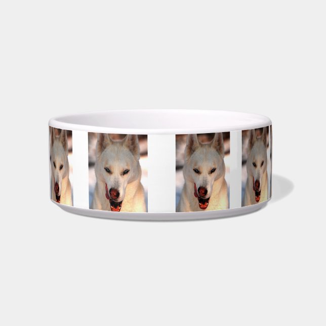 Huskynahrung/Wasserschüssel Napf (Links)