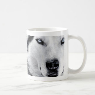 huskys kaffeetasse