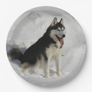 Huskysitzen Pappteller