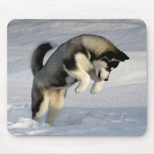 Huskywelpe, der im Schnee spielt Mousepad (Vorne)