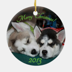 Huskywelpe Verzierung Keramik Ornament