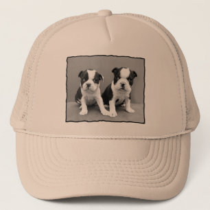 Hut Bostons Terrier Truckerkappe