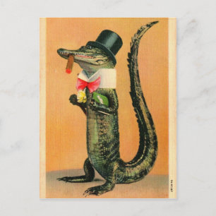 Hut-Gator Postkarte