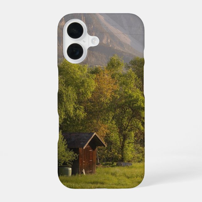 Hut Iphone 16 Hülle (Rückseite)