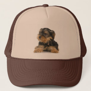 Hut Yorkshires Terrier Truckerkappe