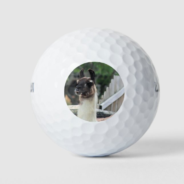 Hüte dich vor dem Lama! Golfball (Vorderseite)