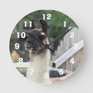 Hüte dich vor dem Lama! Runde Wanduhr