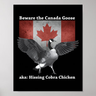 Hüte dich vor dem zischenden Cobra-Huhn, auch beka Poster