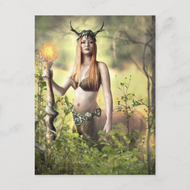 Hüter des Waldes - Postkarte (Vorderseite)