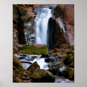 Hütte für Wasserfall-Pfad Poster