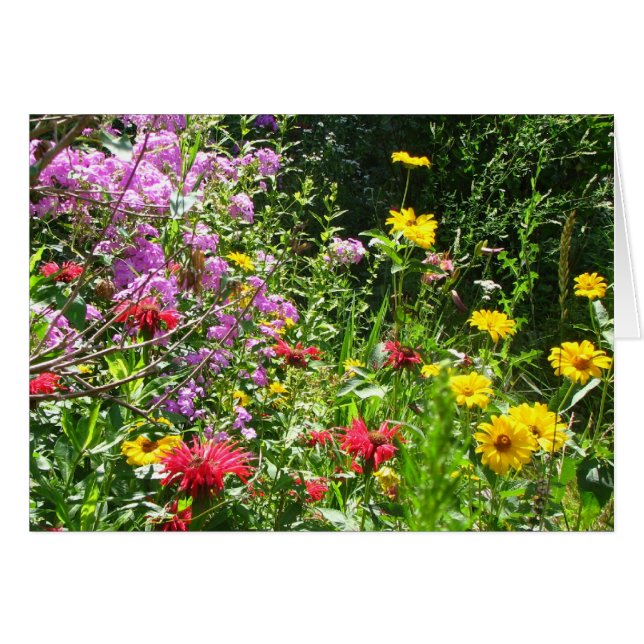Hütte Garden Hintergrund (Vorderseite (Horizontal))