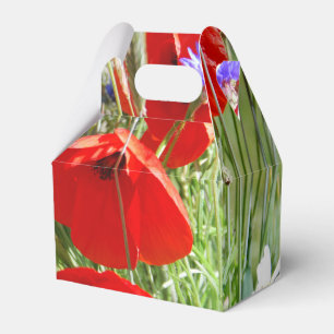 Hütte Garten, Rosalinde Geschenkschachtel