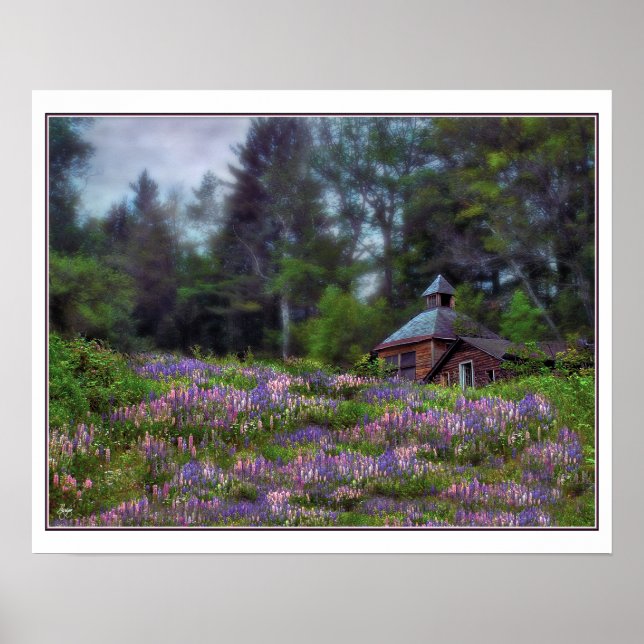 Hütte im Lupine-Poster Poster (Vorne)