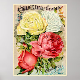 Hütte Rose Garten Drobisch Werbung Poster
