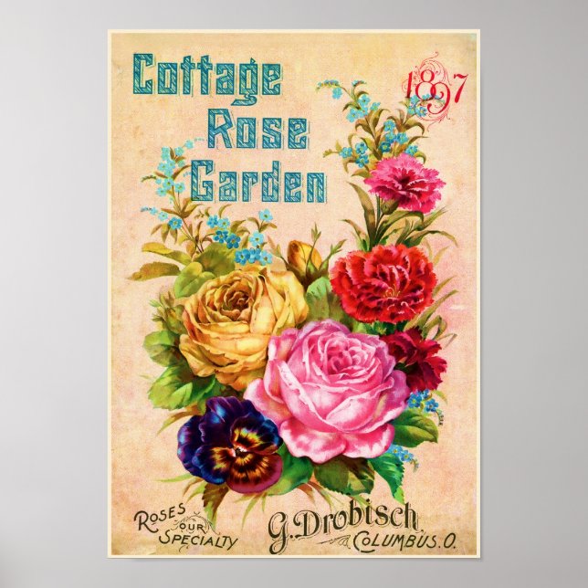 Hütte Rose Garten Vintage Werbung Poster (Vorne)