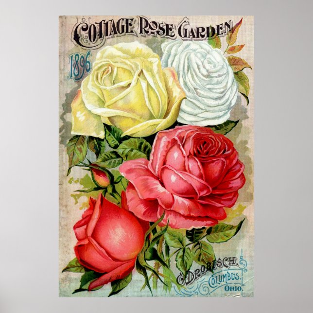 Hütte Rose Gartenwerbung Poster (Vorne)
