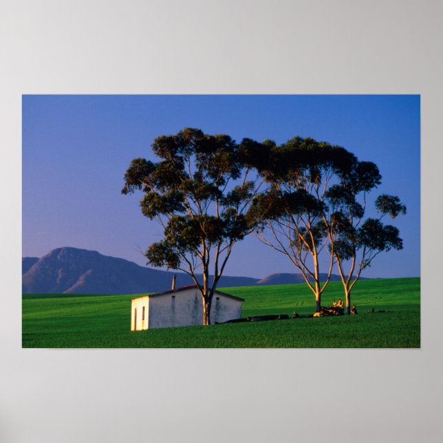 Hütte- und Weizenfelder des Landarbeiters, Overber Poster (Vorne)